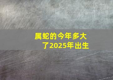 属蛇的今年多大了2025年出生