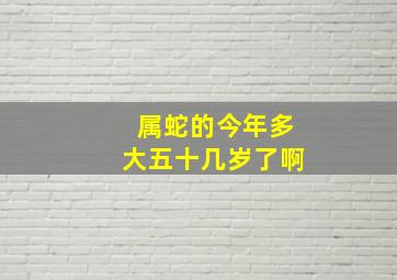 属蛇的今年多大五十几岁了啊