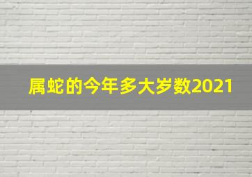 属蛇的今年多大岁数2021