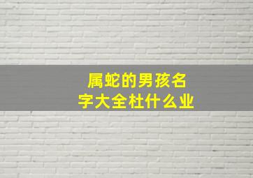 属蛇的男孩名字大全杜什么业