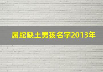 属蛇缺土男孩名字2013年