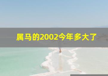 属马的2002今年多大了