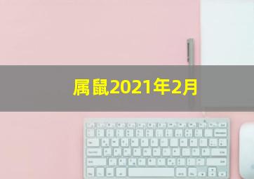 属鼠2021年2月