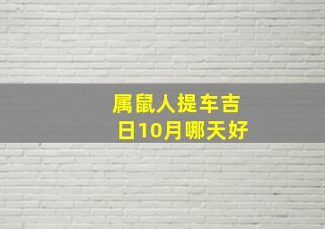 属鼠人提车吉日10月哪天好