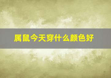 属鼠今天穿什么颜色好