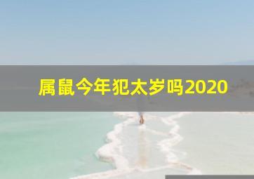 属鼠今年犯太岁吗2020