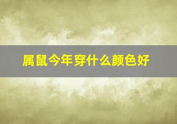 属鼠今年穿什么颜色好