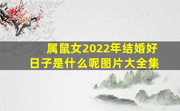 属鼠女2022年结婚好日子是什么呢图片大全集