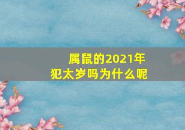 属鼠的2021年犯太岁吗为什么呢