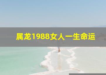 属龙1988女人一生命运