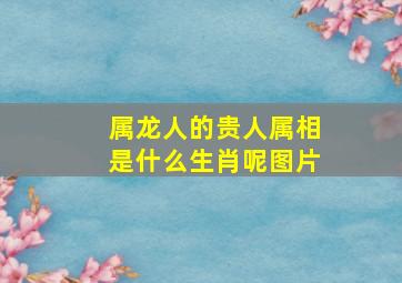 属龙人的贵人属相是什么生肖呢图片