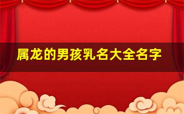 属龙的男孩乳名大全名字