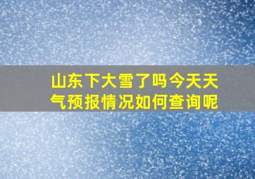 山东下大雪了吗今天天气预报情况如何查询呢