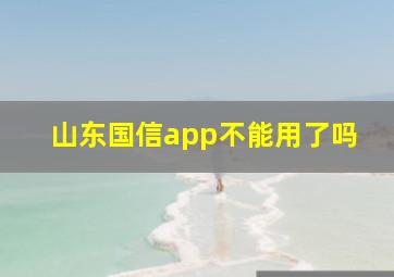 山东国信app不能用了吗