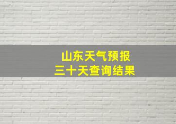 山东天气预报三十天查询结果