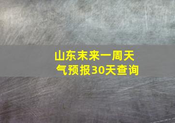 山东末来一周天气预报30天查询