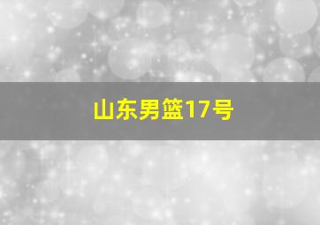 山东男篮17号