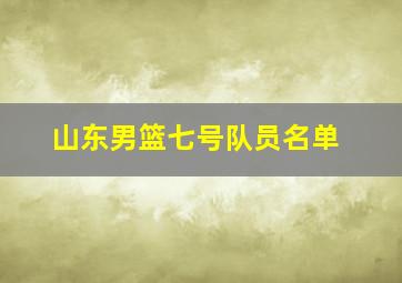 山东男篮七号队员名单