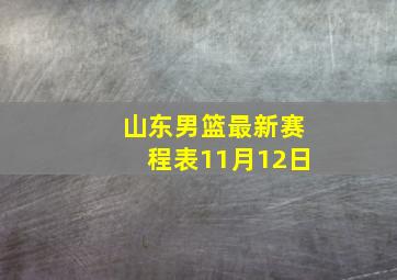 山东男篮最新赛程表11月12日