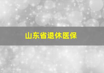 山东省退休医保