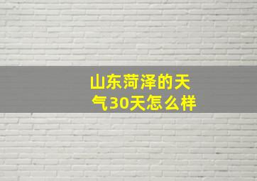 山东菏泽的天气30天怎么样