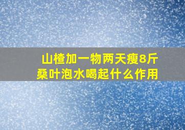 山楂加一物两天瘦8斤桑叶泡水喝起什么作用