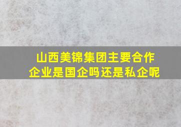 山西美锦集团主要合作企业是国企吗还是私企呢