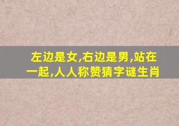 左边是女,右边是男,站在一起,人人称赞猜字谜生肖