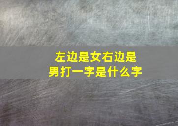 左边是女右边是男打一字是什么字