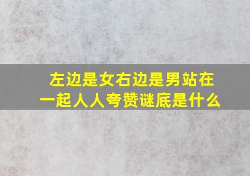 左边是女右边是男站在一起人人夸赞谜底是什么