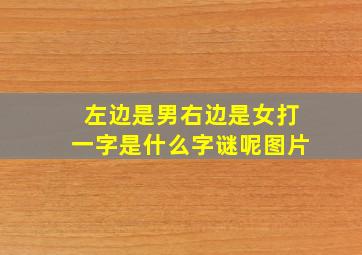 左边是男右边是女打一字是什么字谜呢图片