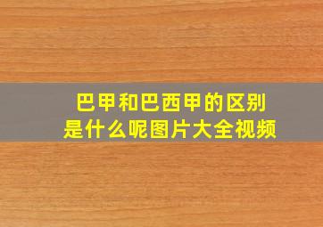 巴甲和巴西甲的区别是什么呢图片大全视频