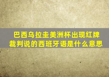 巴西乌拉圭美洲杯出现红牌裁判说的西班牙语是什么意思