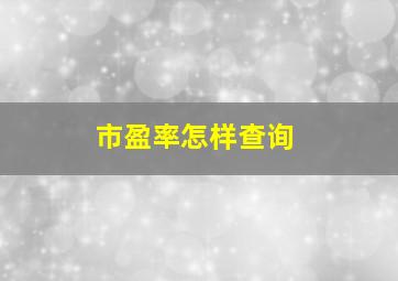 市盈率怎样查询