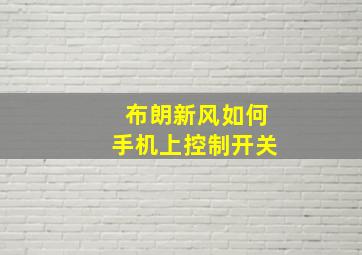 布朗新风如何手机上控制开关