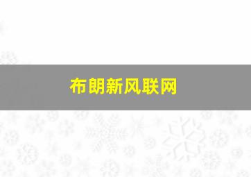 布朗新风联网