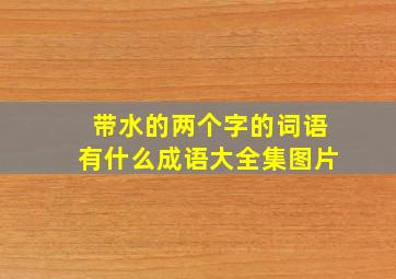 带水的两个字的词语有什么成语大全集图片