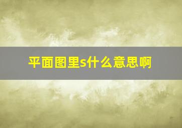 平面图里s什么意思啊