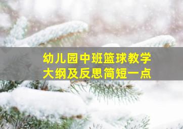 幼儿园中班篮球教学大纲及反思简短一点