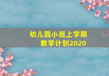 幼儿园小班上学期教学计划2020