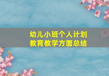 幼儿小班个人计划教育教学方面总结