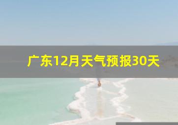 广东12月天气预报30天