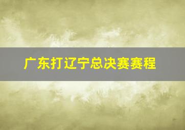 广东打辽宁总决赛赛程