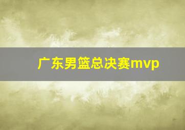 广东男篮总决赛mvp