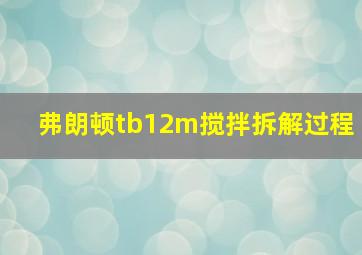 弗朗顿tb12m搅拌拆解过程