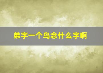 弟字一个鸟念什么字啊