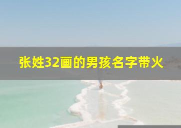 张姓32画的男孩名字带火