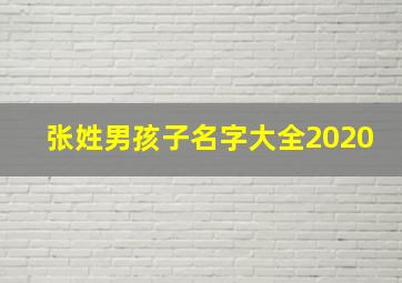 张姓男孩子名字大全2020