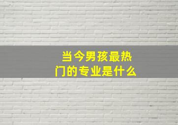 当今男孩最热门的专业是什么