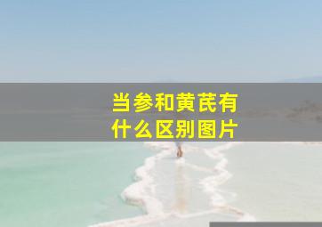 当参和黄芪有什么区别图片